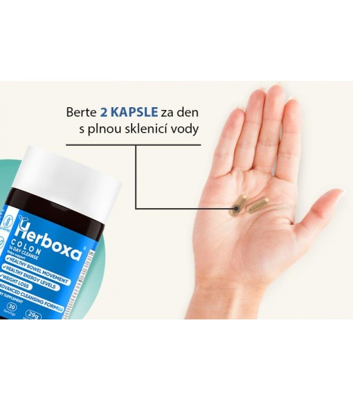 Síla střevního detoxu: vyplavte ven toxiny, zbavte se nadýmání a zvládejte hmotnost! 