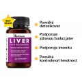 Liver